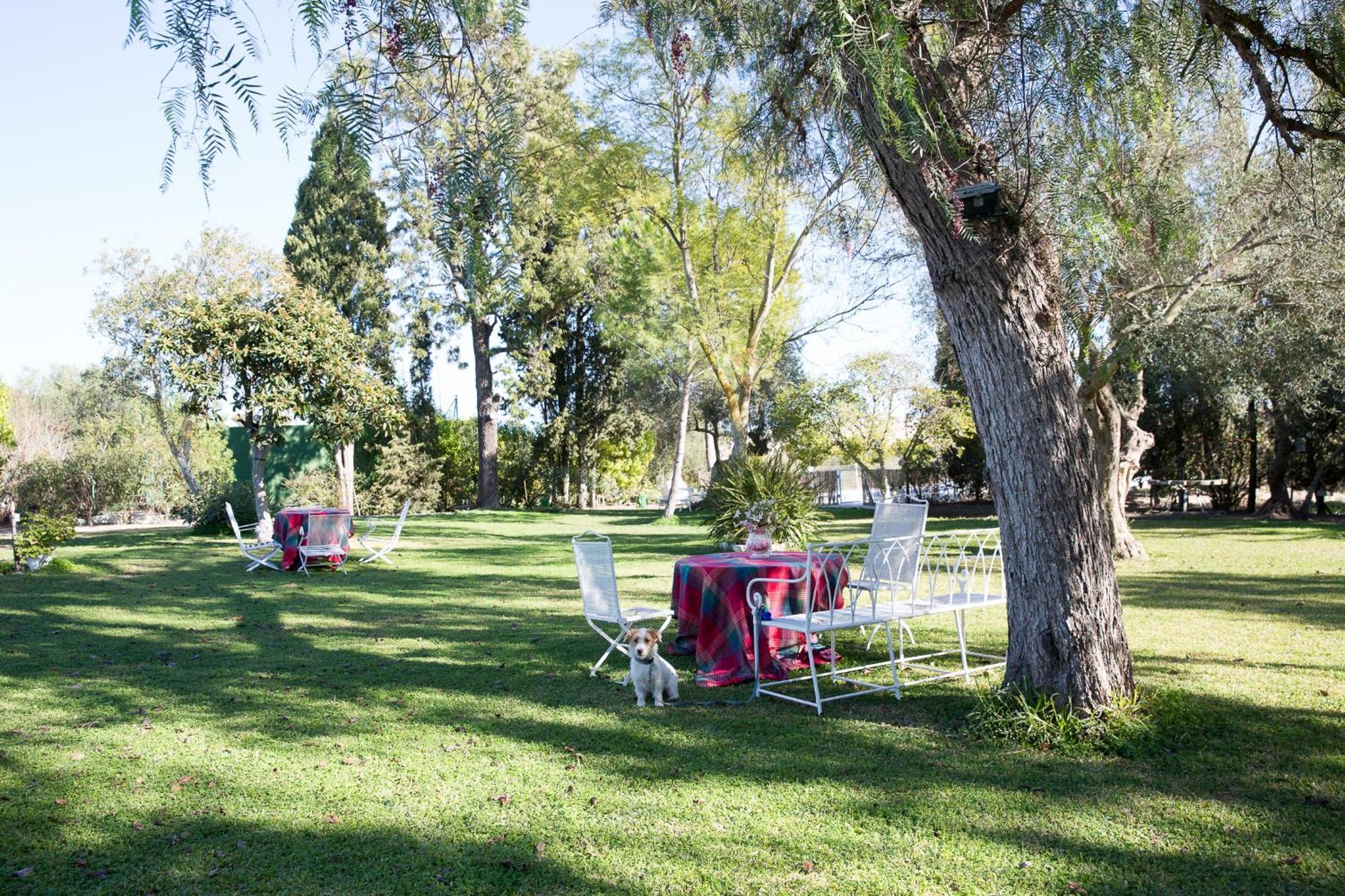 Cortijo Rural La Mariscala Villa Херес де ла Фронтера Екстериор снимка