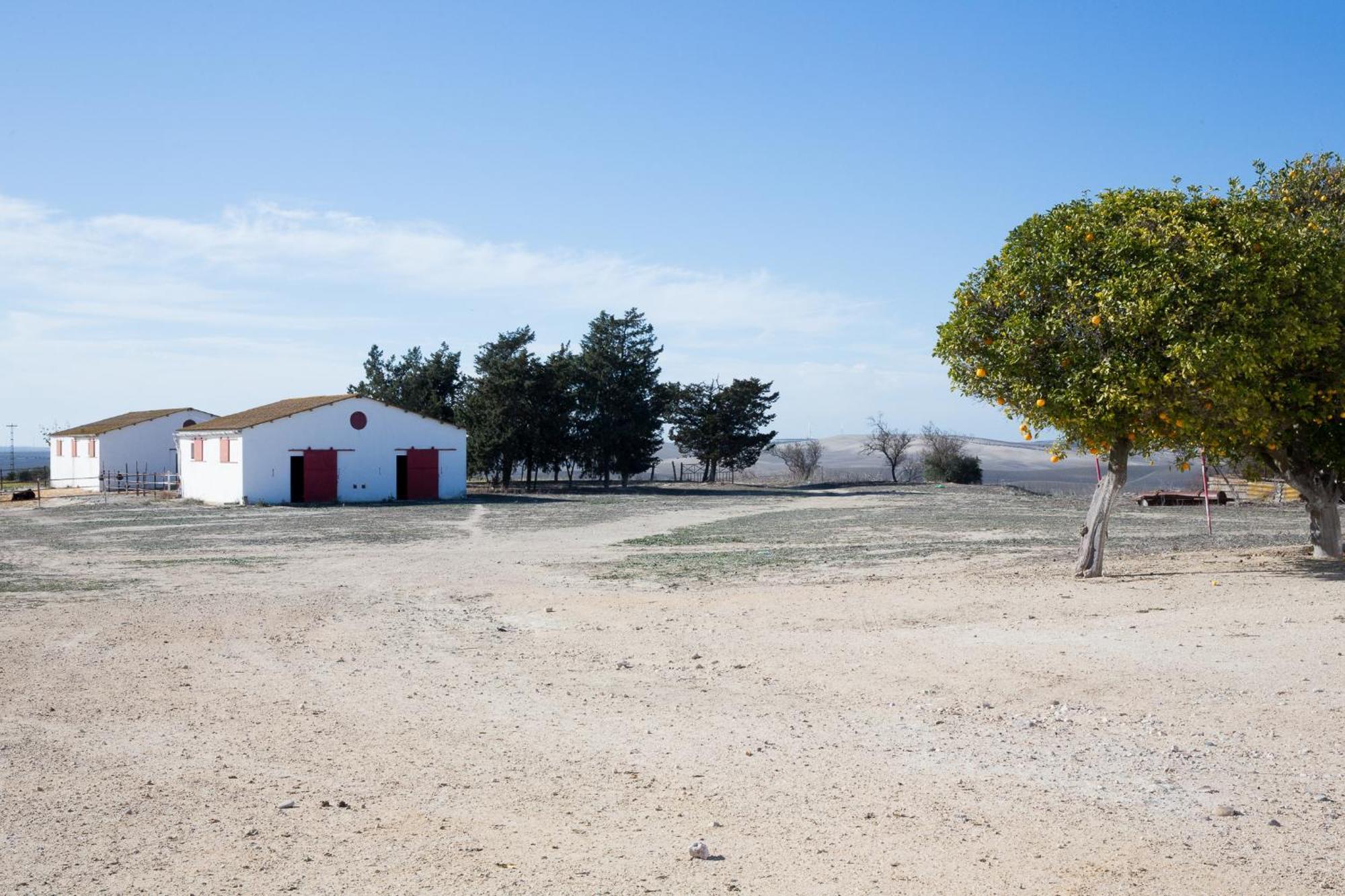 Cortijo Rural La Mariscala Villa Херес де ла Фронтера Екстериор снимка