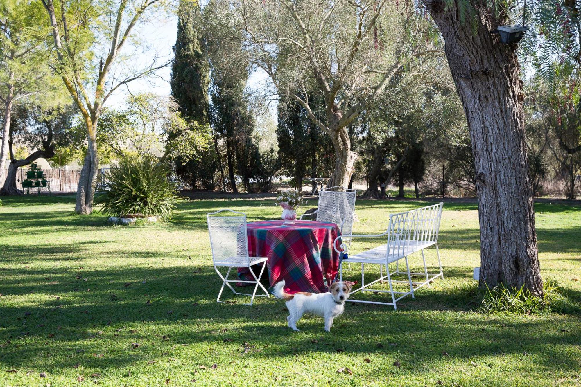 Cortijo Rural La Mariscala Villa Херес де ла Фронтера Екстериор снимка